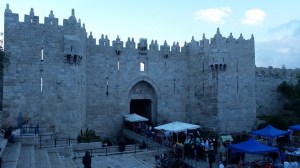 20150410_182504 (Custom)