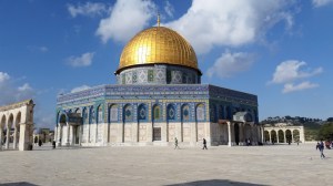 20150413_164823 (Custom)